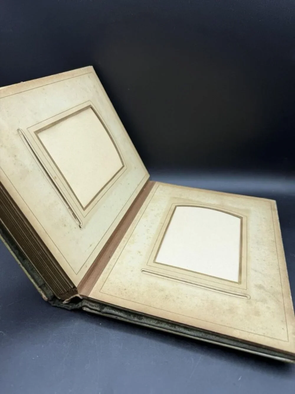 Victorian Green Celluloid Cherubs Dragonfly Photo Album Antique No Latch READ